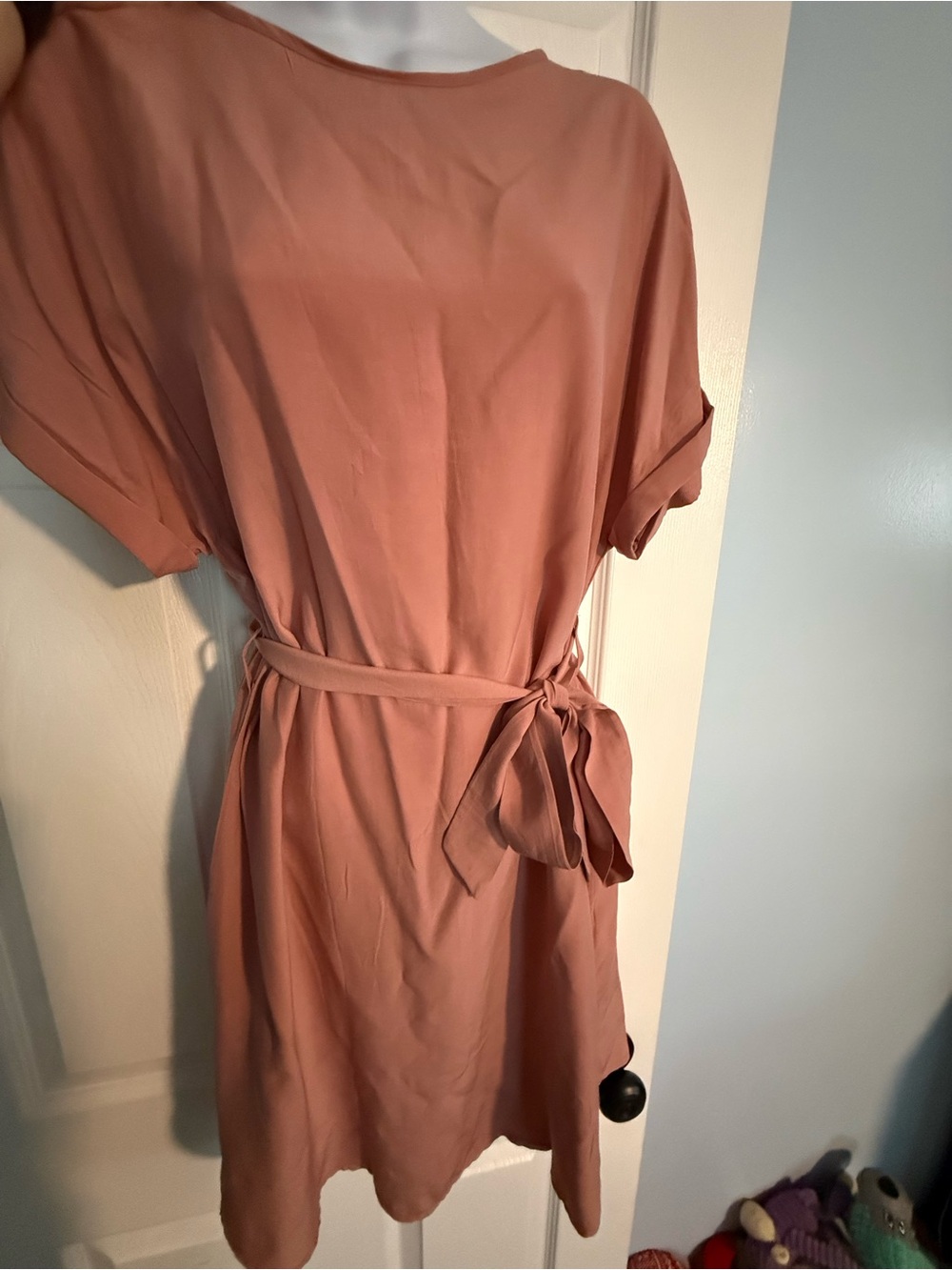 Women’s Dusty Rose Belted Shift Dress